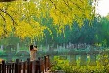 足球比分中国网-足球比分中国网，球迷的实时战场与数据盛宴